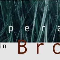 Opera Grows In Brooklyn Returns To Galapagos Art Center 7/17